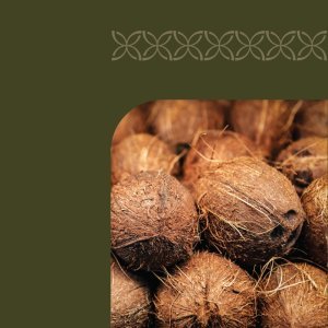 <h2>Saltea Cosmic cu nucă de cocos &ndash; confort natural și susținere ortopedică</h2>

<p>Vă treziți dimineața cu dureri de spate sau oboseală? Saltelele <strong>Cosmic cu nucă de cocos</strong> sunt soluția perfectă pentru un somn sănătos și odihnitor. Fabricate &icirc;n <strong>Moldova</strong>, din <strong>material natural &ndash; nucă de cocos</strong>, ele oferă <strong>suport ortopedic excelent</strong>, mențin coloana &icirc;ntr-o poziție corectă și previn deformarea &icirc;n timp.</p>

<h3>Beneficii pentru dvs.:</h3>

<ul>
	<li><strong>Respirabilitate superioară:</strong> Materialul permite aerului să circule, păstr&acirc;nd temperatura optimă.</li>
	<li><strong>Hipoalergenic și ecologic:</strong> Perfect pentru persoanele sensibile sau copii.</li>
	<li><strong>Durabilitate garantată:</strong> Peste 20 de ani de utilizare, cu garanție de p&acirc;nă la 10 ani.</li>
	<li><strong>Flexibilitate la dimensiuni:</strong> &Icirc;nălțime și lățime individualizată sau standard &ndash; de la 80x200 la 200x200 cm.</li>
	<li><strong>Husă detașabilă cadou:</strong> Ușor de spălat și &icirc;ntreținut.</li>
</ul>

<p>Alegeți <strong>Cosmic</strong> și transformați fiecare noapte &icirc;ntr-un somn relaxant. Mii de clienți din Moldova deja se bucură de confortul natural al saltelelor noastre.</p>

<h3>Caracteristici principale:</h3>

<table>
	<tbody>
		<tr>
			<th>Caracteristică</th>
			<th>Detalii</th>
		</tr>
		<tr>
			<td>Producător</td>
			<td>Cosmic (Moldova)</td>
		</tr>
		<tr>
			<td>Colecție</td>
			<td>Matraze cu cocos</td>
		</tr>
		<tr>
			<td>Material</td>
			<td>Nucă de cocos naturală</td>
		</tr>
		<tr>
			<td>&Icirc;nălțime</td>
			<td>Individualizată</td>
		</tr>
		<tr>
			<td>Lățime</td>
			<td>Individuală sau standard</td>
		</tr>
		<tr>
			<td>Dimensiuni</td>
			<td>80x200, 90x200, 100x200, 120x200, 140x200, 160x200, 180x200, 200x200</td>
		</tr>
		<tr>
			<td>Garanție</td>
			<td>P&acirc;nă la 10 ani</td>
		</tr>
		<tr>
			<td>Durata de viață</td>
			<td>Peste 20 de ani</td>
		</tr>
		<tr>
			<td>Cadou</td>
			<td>Husă detașabilă</td>
		</tr>
		<tr>
			<td>Livrare</td>
			<td>Toată Moldova</td>
		</tr>
	</tbody>
</table>

<h3>De ce să alegeți saltelele Cosmic:</h3>

<ul>
	<li>Suport ortopedic natural și confort superior</li>
	<li>Material eco-friendly și durabil</li>
	<li>Previne dureri de spate și oboseală</li>
	<li>Livrare rapidă și cadou util inclus</li>
</ul>

<p><strong>Acționați acum:</strong> Comandați <strong>salteaua Cosmic cu nucă de cocos</strong> și transformați-vă somnul &icirc;ntr-o experiență odihnitoare și sănătoasă!</p>
